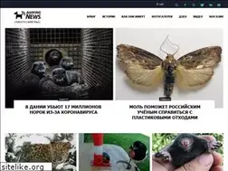 Sites similar to brkng.news