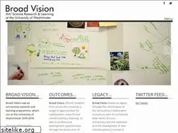 Sites similar to broad-vision.info