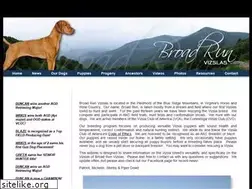 Sites similar to broadrunvizslas.homestead.com
