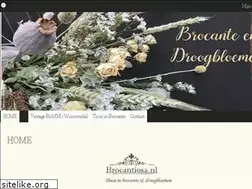 Sites similar to brocantiosa.nl