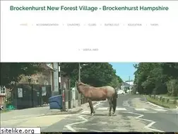 Sites similar to brockenhurst-newforest.org.uk