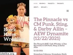 Sites similar to brockhateswrestling.wordpress.com