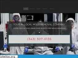 Sites similar to brockvillemoldremoval.com