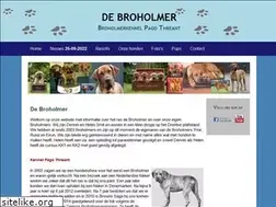 Sites similar to broholmer.org