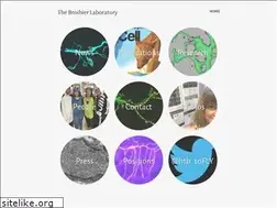 Sites similar to broihierlab.com