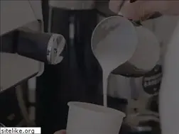 Sites similar to brokencupcafe.com