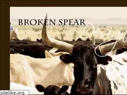 Sites similar to brokenspeardesigns.com