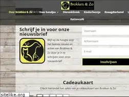 Sites similar to brokken-enzo.nl