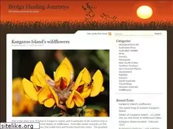 Sites similar to brolgahealingjourneys.com
