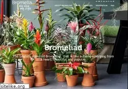 Sites similar to bromelia.info