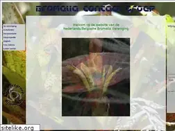 Sites similar to bromeliad.nl