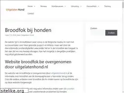 Sites similar to broodfok.be