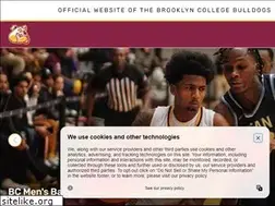 Sites similar to brooklyncollegeathletics.com