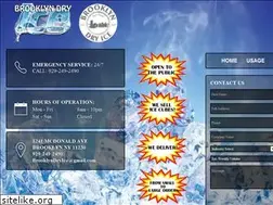Sites similar to brooklyndryice.com
