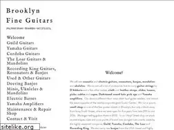 Sites similar to brooklynfineguitars.com