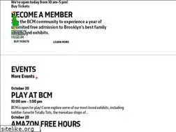 Sites similar to brooklynkids.org