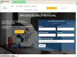 Sites similar to brooklynnymoldremoval.com