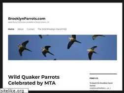 Sites similar to brooklynparrots.com