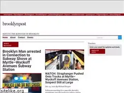 Sites similar to brooklynpost.com