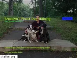 Sites similar to brooklynsfinestdogtraining.com