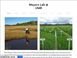 Sites similar to brookmoyers.com