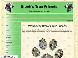 Sites similar to brookstruefriends.nl