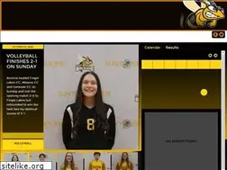 Sites similar to broomehornets.com