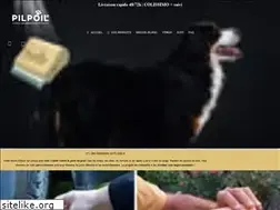 Sites similar to brosse-pilpoil.fr