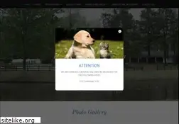 Sites similar to broughtonskennel.com