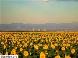 Sites similar to brpics.com