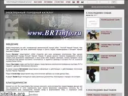 Sites similar to brtinfo.ru