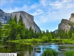 Sites similar to brucegewertzmd.com