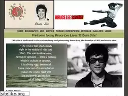 Sites similar to bruceleelives.co.uk