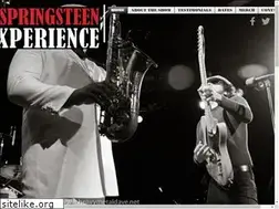 Sites similar to brucespringsteentribute.com