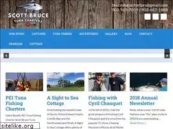 Sites similar to brucestunacharters.com