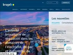 Sites similar to brugel.brussels