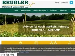 Sites similar to bruglermarketing.com