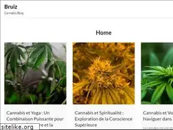 Sites similar to bruiz.fr