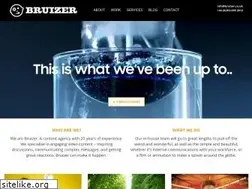 Sites similar to bruizer.biz