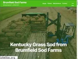 Sites similar to brumfieldsod.com