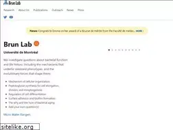 Sites similar to brunlab.com