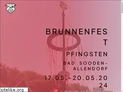 Sites similar to brunnenfest-in-bsa.de