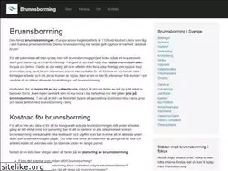 Sites similar to brunnsborrare.nu