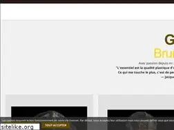 Sites similar to bruno-mignot.com