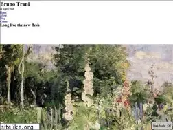 Sites similar to brunotrani.info