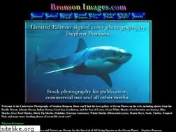 Sites similar to brunsonimages.com
