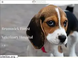 Sites similar to brunswickforestvet.com