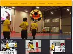 Sites similar to brusafc.com