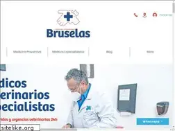 Sites similar to bruselas.com.mx