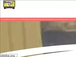 Sites similar to brush-it-off.com
